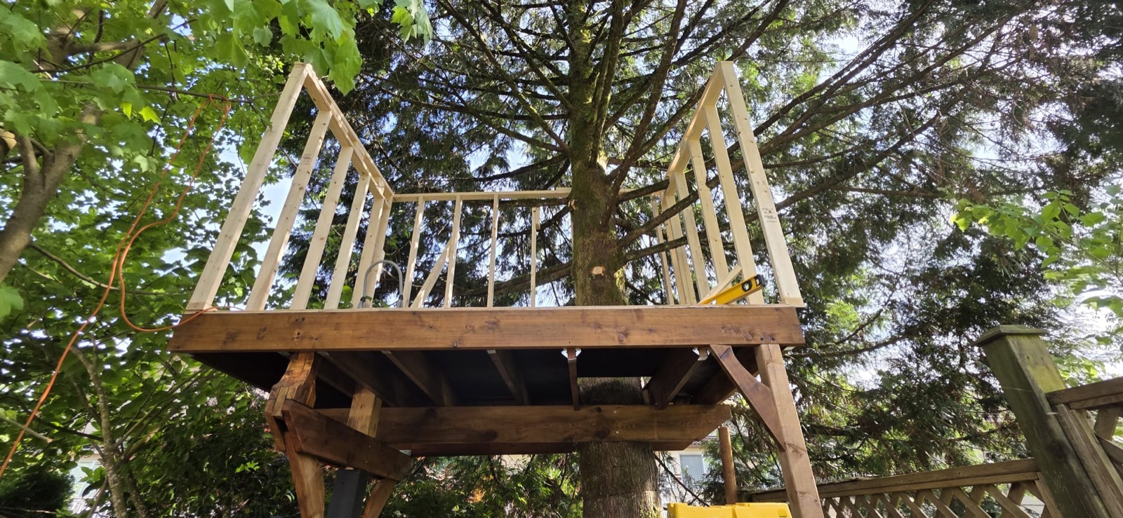 Elevated tree house with railed platform built around a mature tree